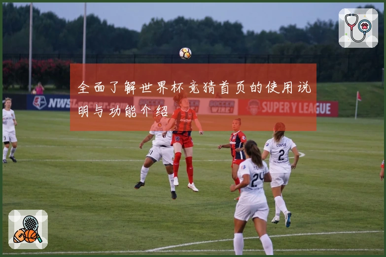 全面了解世界杯竞猜首页的使用说明与功能介绍