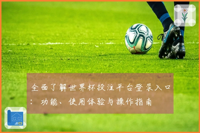 全面了解世界杯投注平台登录入口：功能、使用体验与操作指南