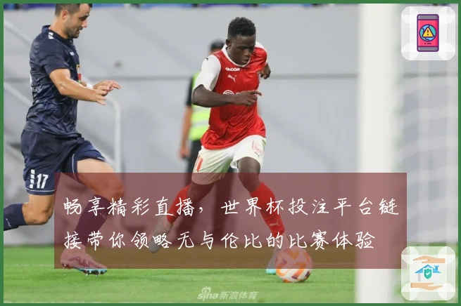 畅享精彩直播，世界杯投注平台链接带你领略无与伦比的比赛体验