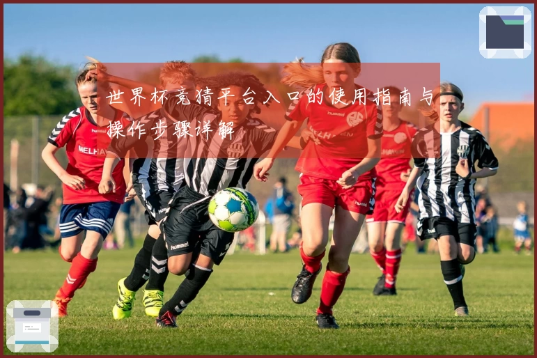 世界杯竞猜平台入口的使用指南与操作步骤详解