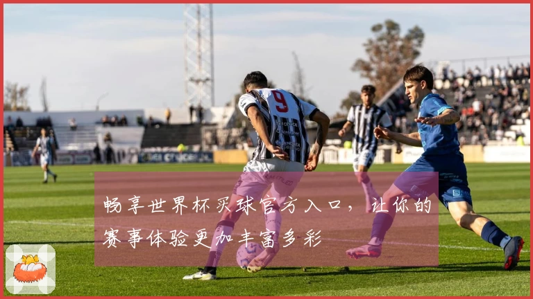 畅享世界杯买球官方入口，让你的赛事体验更加丰富多彩