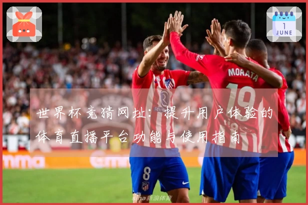 世界杯竞猜网址：提升用户体验的体育直播平台功能与使用指南