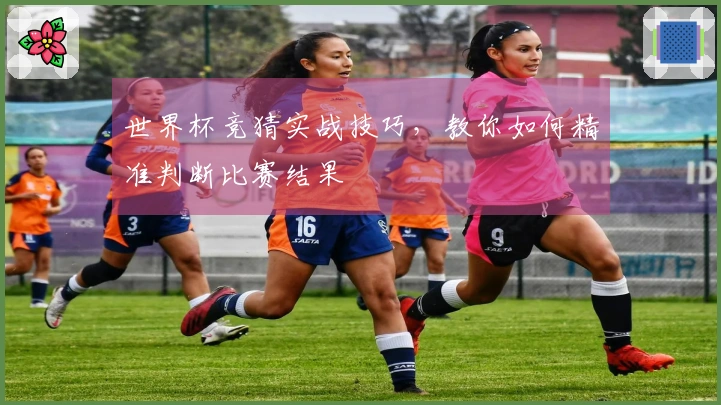 世界杯竞猜实战技巧，教你如何精准判断比赛结果