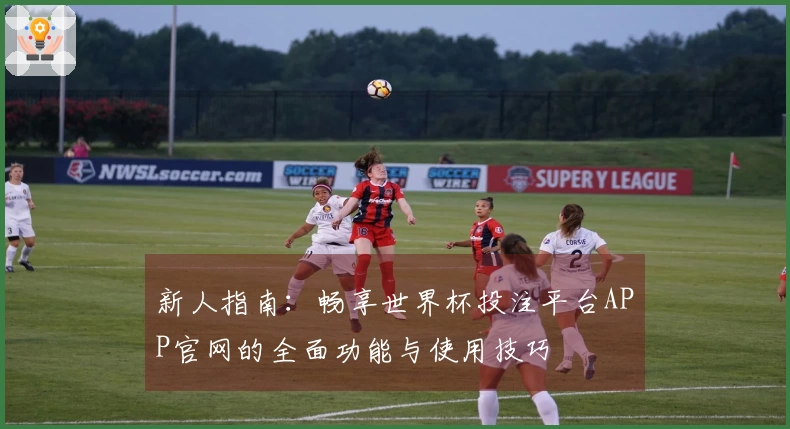 新人指南：畅享世界杯投注平台APP官网的全面功能与使用技巧