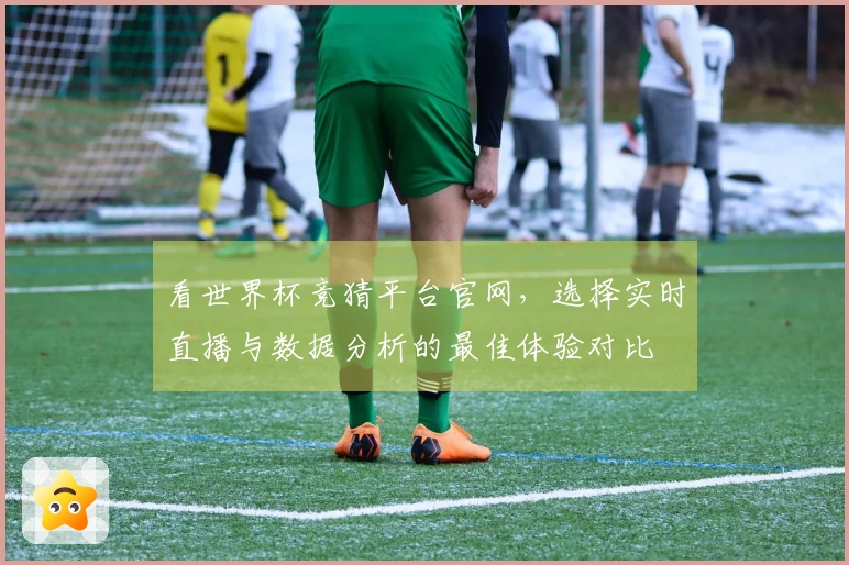 看世界杯竞猜平台官网，选择实时直播与数据分析的最佳体验对比